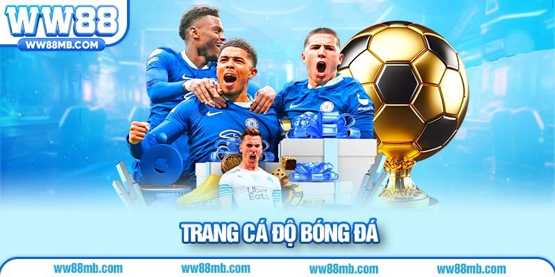trang cá độ bóng đá
